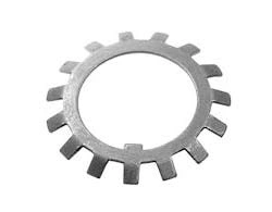 Alloy C22 Star Washer